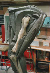 Dino leg sculpt 02med.jpg (98465 bytes)