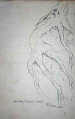 waterfall creature2 01.jpg (279345 bytes)